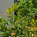 Apartamento Mijanovic Trebinje