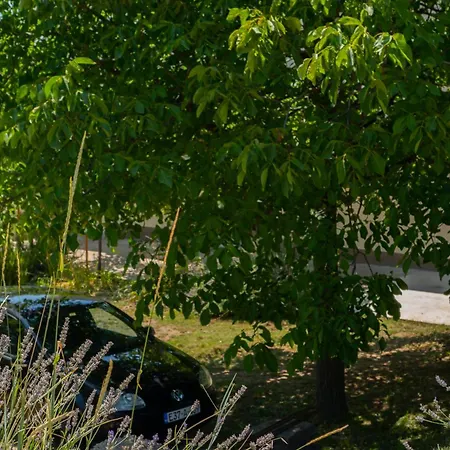 Apartman Mijanovic