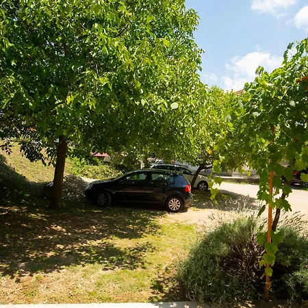 Mijanovic * Trebinje
